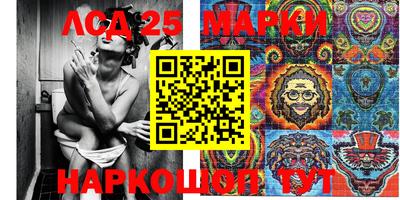 гидра Можга