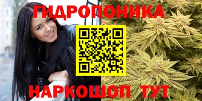 spice Моздок