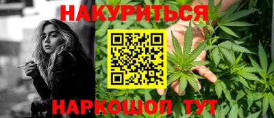 гидра Можга
