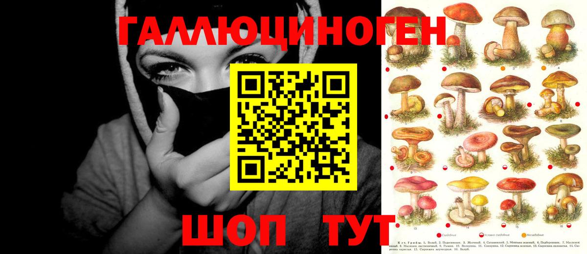 Галлюциногенные грибы прущие грибы  Вход с VPN  Советская Гавань 